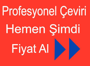 profesyonel almanca türkçe çeviri